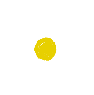 большая ромашка