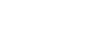 лепестки ромашки